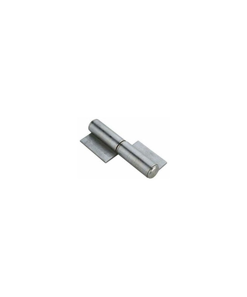 Bisagra P/soldar 100 X 8 ``fumaca``