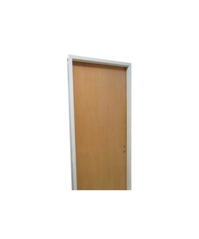 Puerta Placa Paine Marco De Aluminio 0.70 X 2.00 Derecha