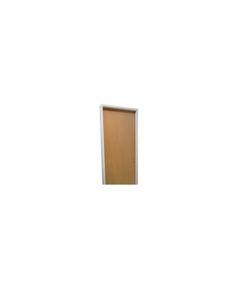 Puerta Placa Paine Marco De Aluminio 0.70 X 2.00 Derecha