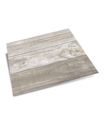 PINOT CLARO 45X45 1º - CALIDAD `CERRO NEGRO` 2.025 MTS